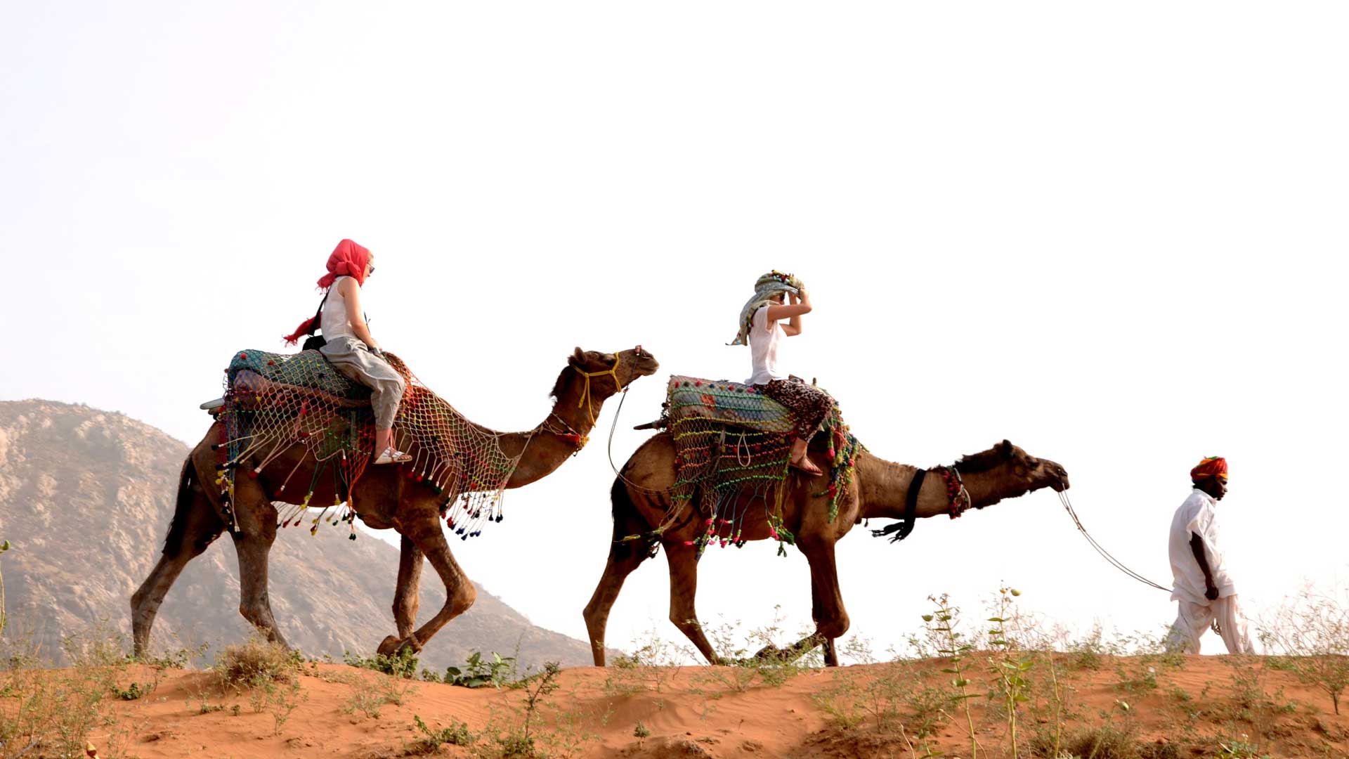 Pushkar Adventure Camp & Desert Camel Safari